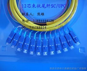 連接數(shù)字世界的橋梁 束狀尾纖、光纖跳線與皮線光纜