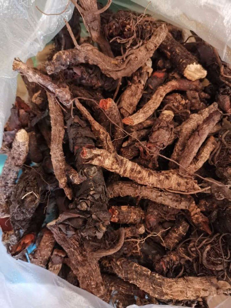 三好中藥材供應 優質巖白菜的行業標桿